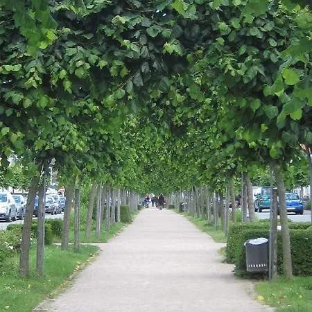 Familie-und-meer-2-badezimmer-3-schlafzimmer-strandnah-im-ostseebad-baabe-baabe *